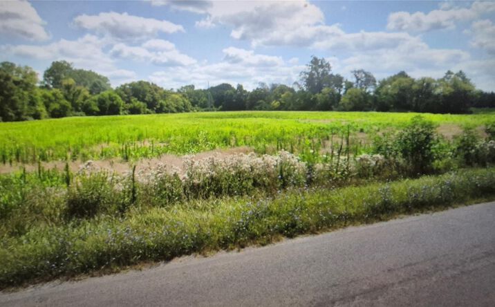 Pictures of Land property located at 14700 Darling Road, Milan, MI 48160 for sales - image #1