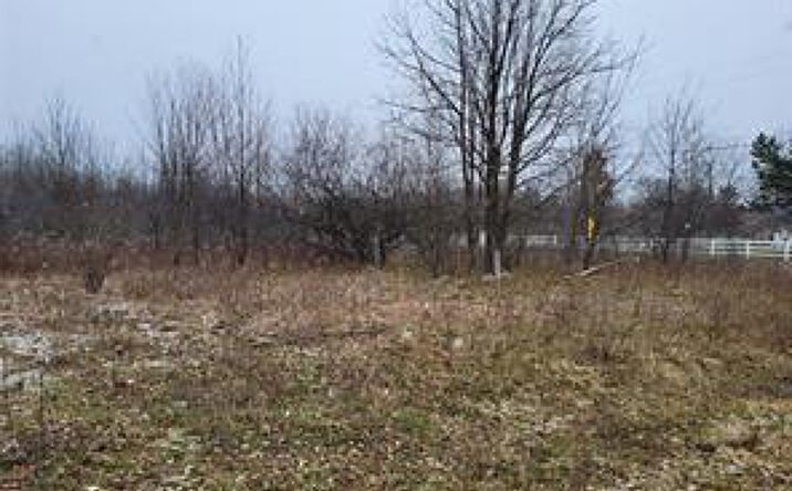 Pictures of Land property located at S Ann Arbor Saline Road S, Ann Arbor, MI 48103 for sales - image #1