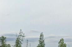 33660172