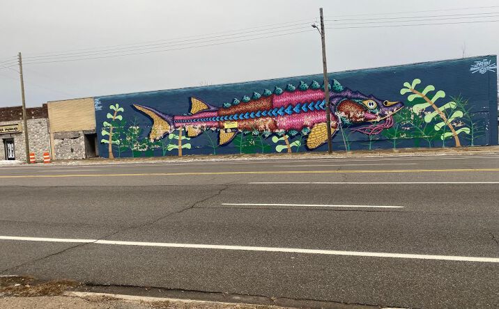 Pictures of Industrial, Office, Mixed Use, Land, Retail, Self Storage, Special Purpose property located at 4514 N Saginaw Street, Flint, MI 48505 for sales - image #1