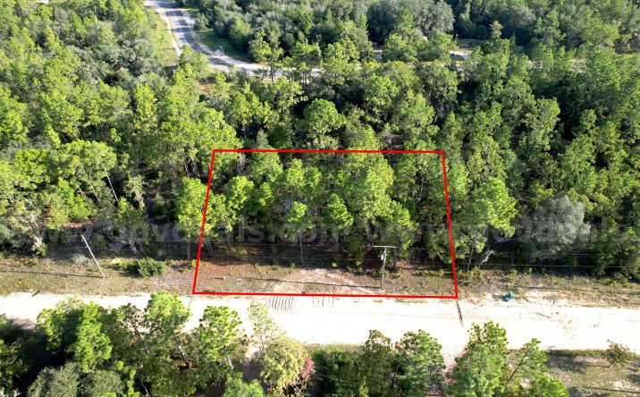 Pictures of Land property located at 134 MADRID AVE, INTERLACHEN, FL 32148 for sales - image #1