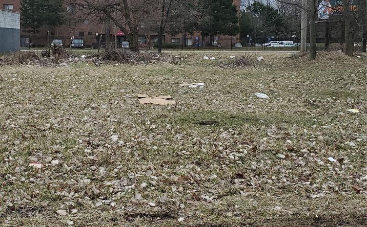 Pictures of Land property located at 2527 DUBOIS, Detroit, MI 48207 for sales - image #1