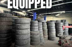 33666537