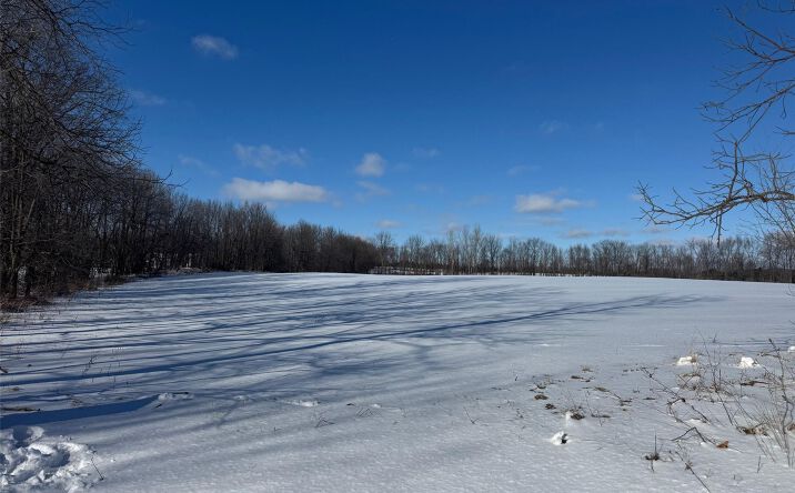 Pictures of Land property located at Parcel A Murphy Lake Road, Mayville, MI 48744 for sales - image #1