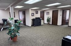 33667656