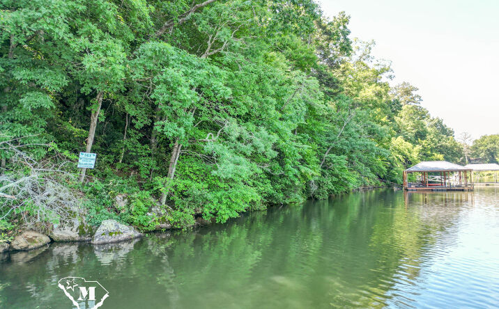 Pictures of Land property located at 204 Deborah Lane, Greenville, SC 29611 for sales - image #1