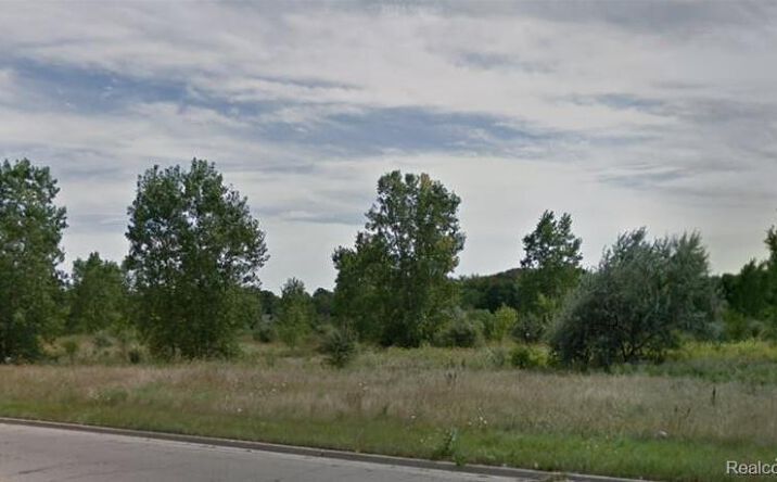 Pictures of Land property located at 10 Acres T Mansour Blvd, Flint, MI 48532 for sales - image #1