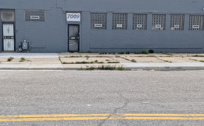Pictures of Land property located at 7009 W Chicago, Detroit, MI 48204 for sales - image #1