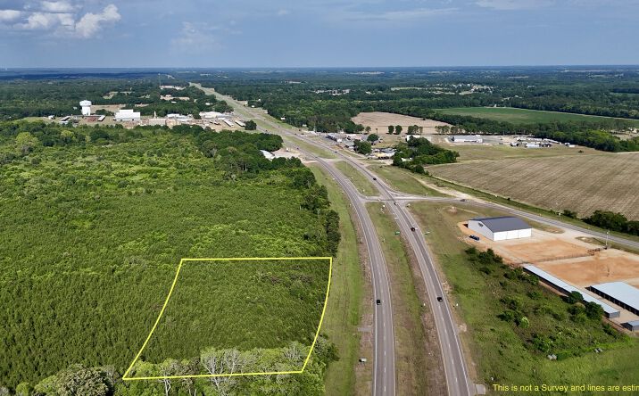 Pictures of Land property located at 1 Highway 84, Wicksburg, AL 36352 for sales - image #1