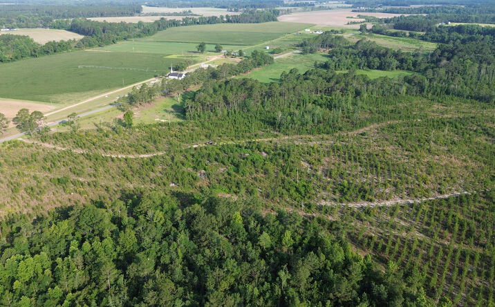 Pictures of Land property located at Scuffletown Road, Bristol, GA 31518 for sales - image #1