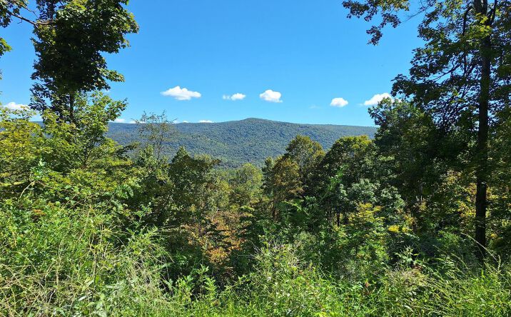 Pictures of Retail, Land property located at 0 Tiger Valley Road, Hyndman, PA 15545 for sales - image #1