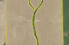 33684268