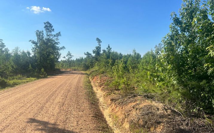 Pictures of Land property located at 0 Attala Rd 4033, Kosciusko, MS 39090 for sales - image #1