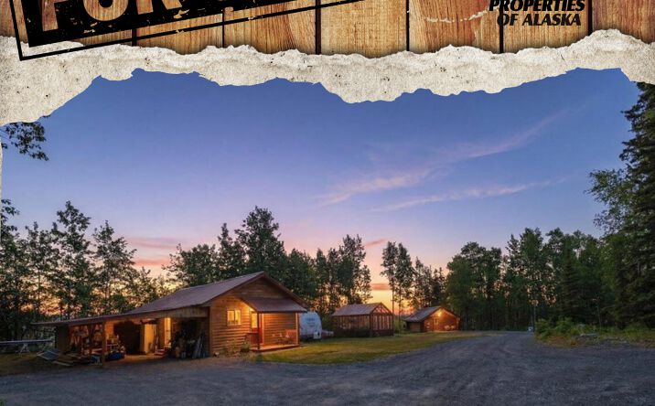 Pictures of Retail, Hospitality property located at 37901 Hall Road, Sterling, AK 99672 for sales - image #1