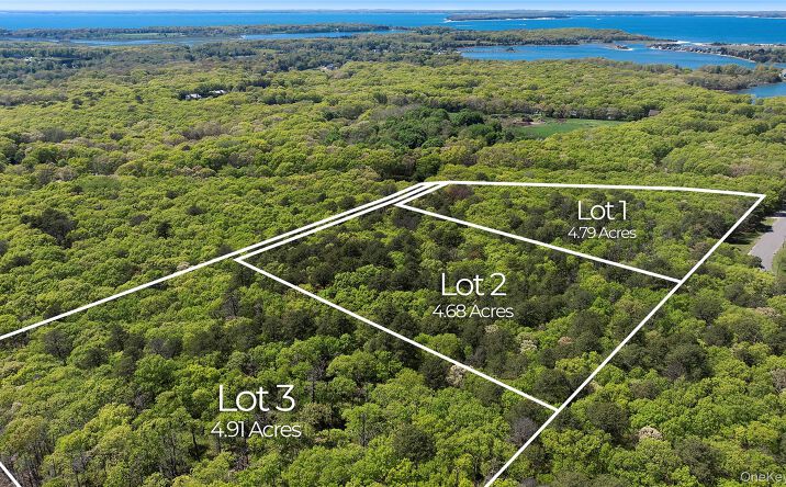 Pictures of Land property located at 1240 Majors Path, Southampton, NY 11968 for sales - image #1