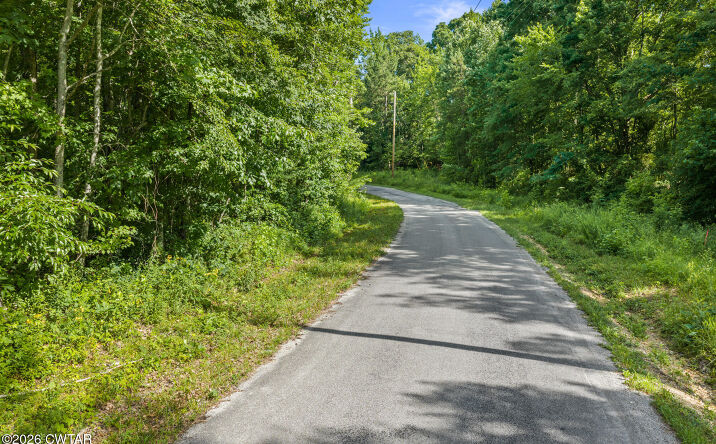 Pictures of Land property located at Coxburg Rd N Tract 8, Holladay, TN 38341 for sales - image #1