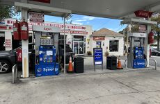 33711621