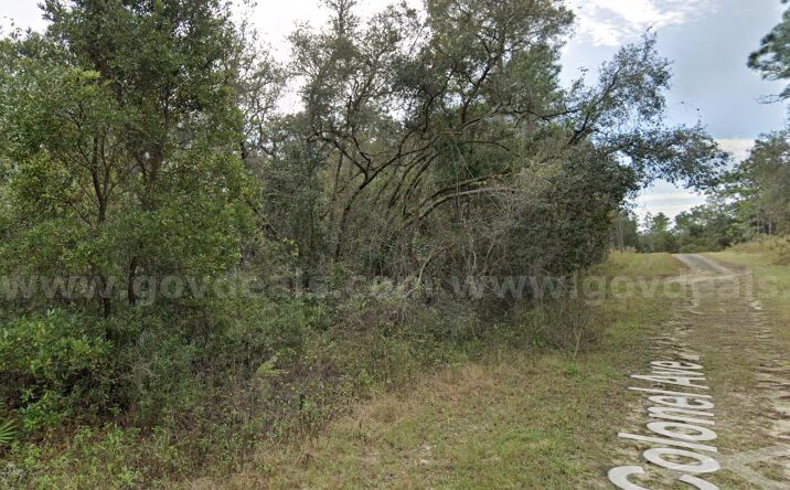 Pictures of Land property located at 0 COLONEL AVE, WEBSTER, FL 33597 for sales - image #1