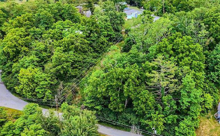 Pictures of Land, Multifamily property located at TBD Hotel Ave, Tazewell, VA 24651 for sales - image #1