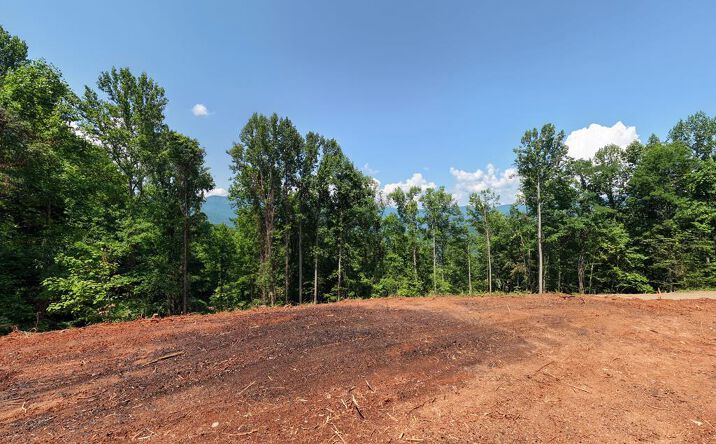 LOT 123 Shiloh Drive, Hayesville