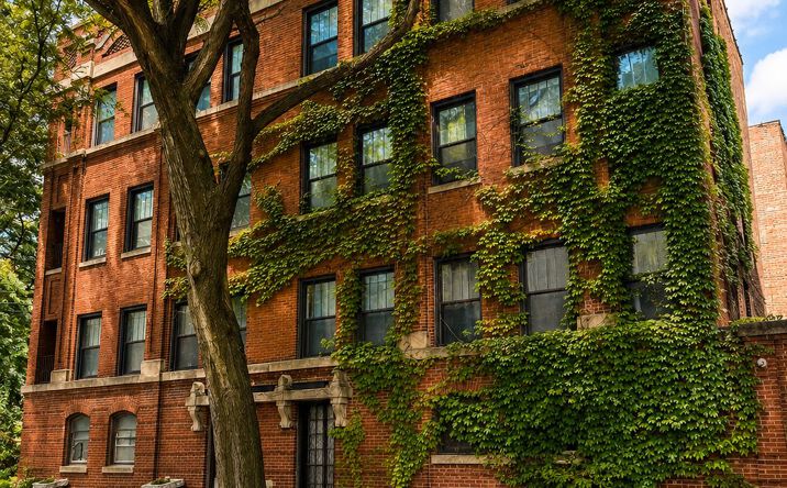 Pictures of Multifamily property located at 1222 E 52nd Street, Chicago, IL 60615 for sales - image #1