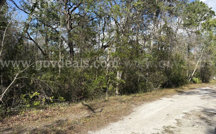Pictures of Land property located at N/A, NEW PORT RICHEY, FL 34654 for sales - image #1