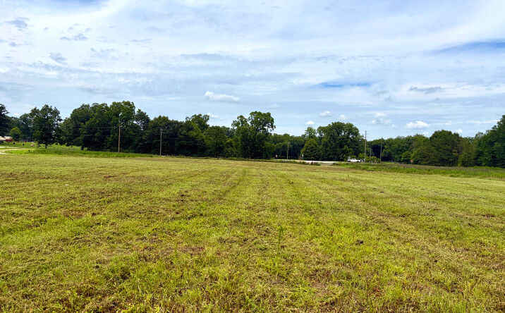 Pictures of Land property located at 0 Greenville Highway, Luverne, AL 36049 for sales - image #1
