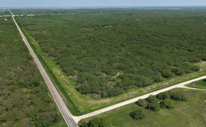 Pictures of Land property located at 160 South Co Road 1040, Kingsville, TX 78363 for sales - image #1