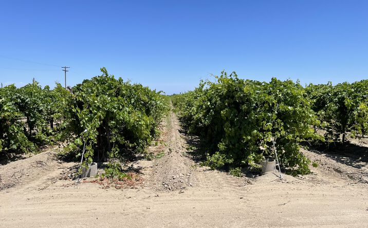 Pictures of Land property located at West Shaw Avenue, Fresno, CA 93723, North Westlawn Avenue, Fresno, CA 93723 for sales - image #1