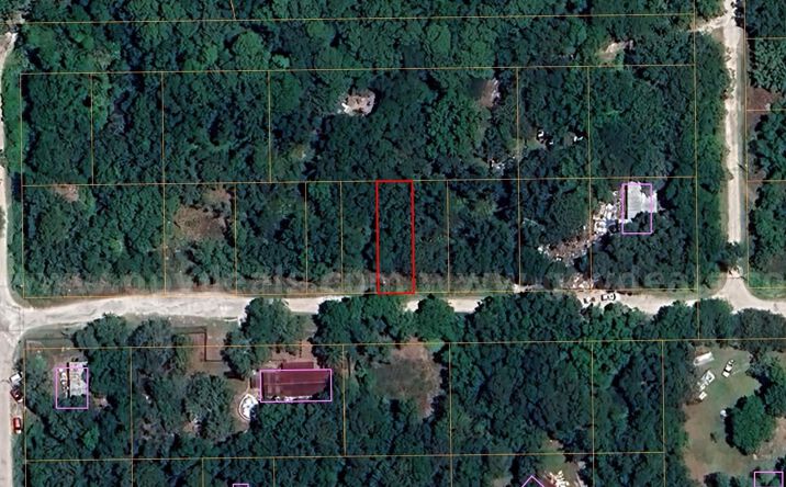 Pictures of Land property located at Ennis Avenue, Moon Lake, FL 34654 for sales - image #1