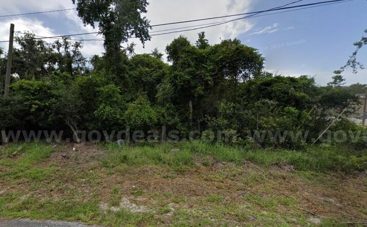Pictures of Land property located at Windel Street, Moon Lake, FL 34654 for sales - image #1