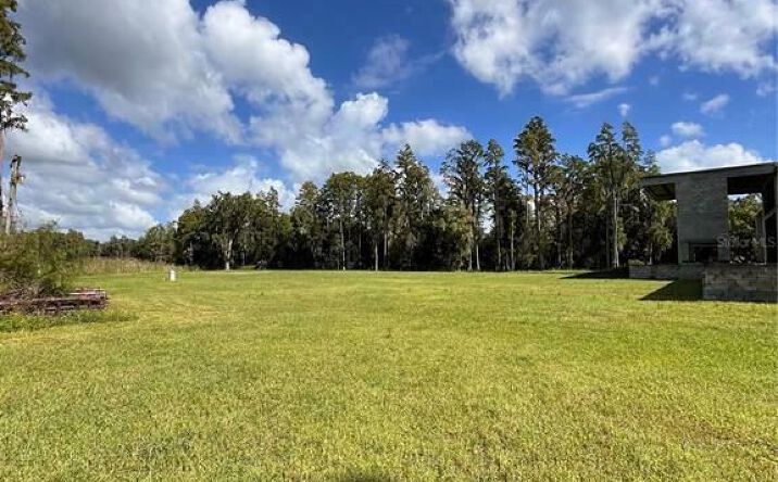 Pictures of Land property located at 1029 Van Dyke Rd, Lutz, FL 33548 for sales - image #1