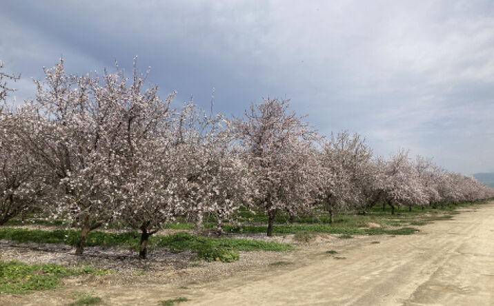 Panama Rd, Bakersfield