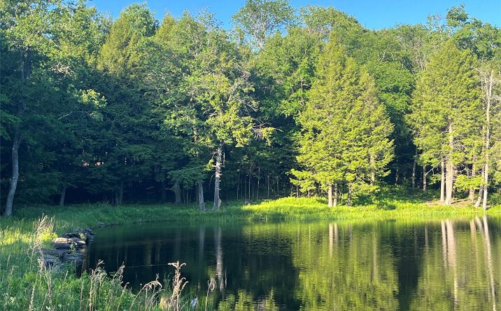 Pictures of Land, Special Purpose property located at 4 Cold Creek Pass, Parksville, NY 12768 for sales - image #1