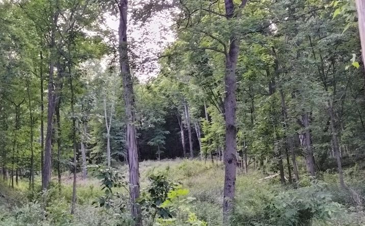 Pictures of Land property located at 419 Cauterskill Avenue, Catskill, NY 12414 for sales - image #1