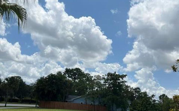Pictures of Land property located at 1094 Primrose Lane, Wellington, FL 33414 for sales - image #1
