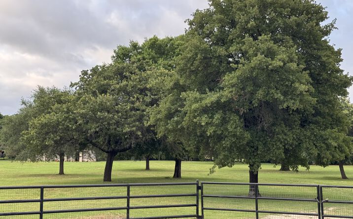 Pictures of Land property located at Knight Street, Argyle, TX 76226 for sales - image #1