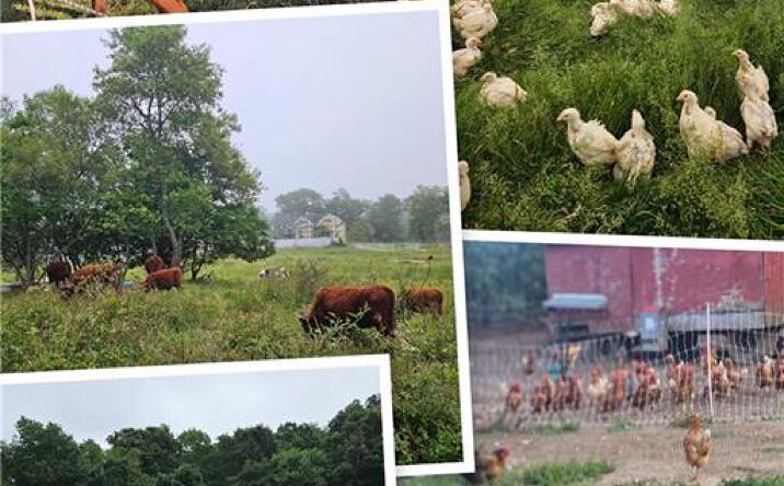 Pictures of Land, Mixed Use, Retail, Multifamily, Special Purpose, Industrial property located at 241 Cornell Road, Tiverton, RI 02878 for sales - image #1