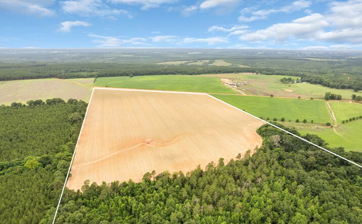 Pictures of Land property located at 0 OLD STAGE RD, REPTON, AL 36475 for sales - image #1
