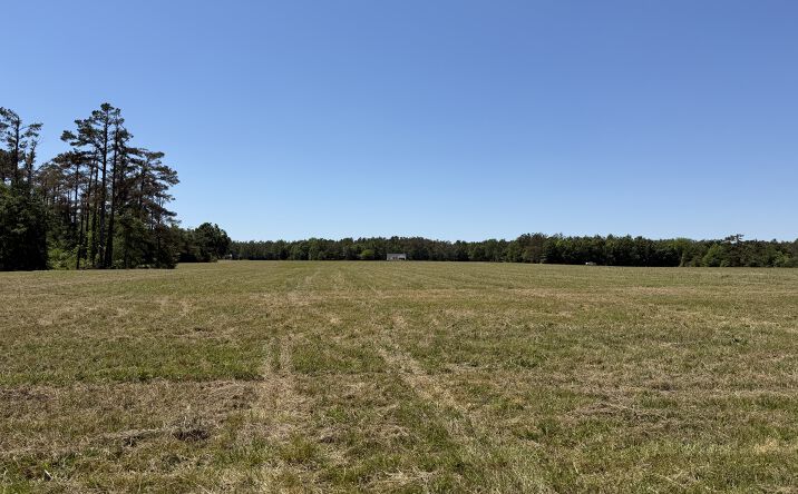 Pictures of Mixed Use, Land property located at 7 Bethlehem Rd., Adamsville, TN 38310 for sales - image #1