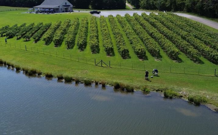 Pictures of Land, Business for Sale, Hospitality property located at 133 Bollen Road, Rockmart, GA 30153 for sales - image #1