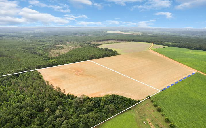 Pictures of Land property located at 1 Old Stage Rd, Repton, AL 36475 for sales - image #1