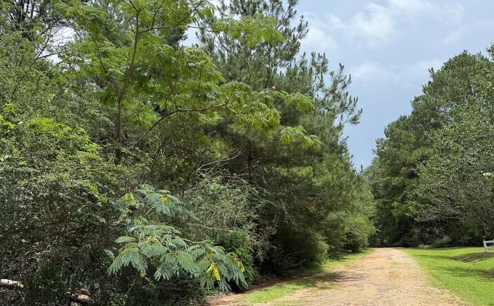 NHN Misty Lane, Lumberton