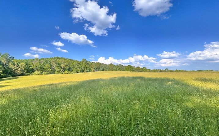 Pictures of Land, Special Purpose, Multifamily property located at 178 Grande Rd, Fairdale, WV 25839 for sales - image #1