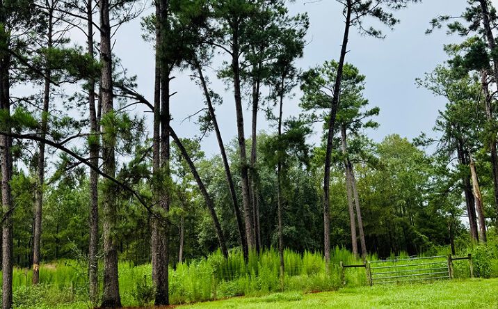 4546 MT Zion Road, Valdosta