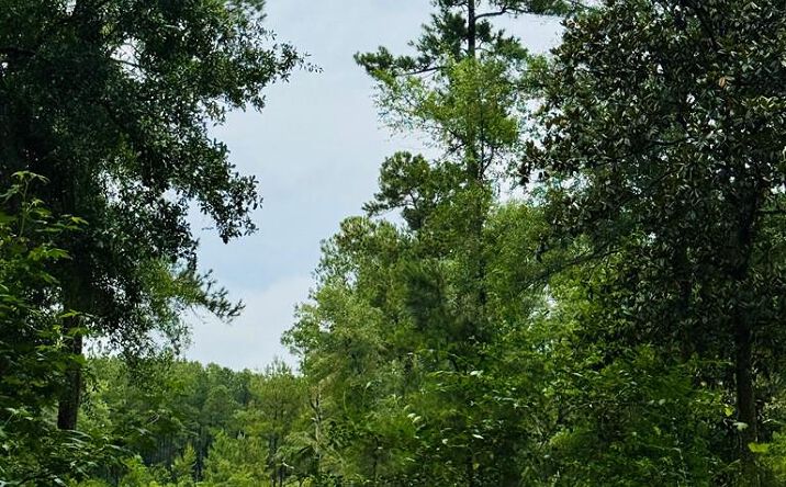 Devane Road, Quitman