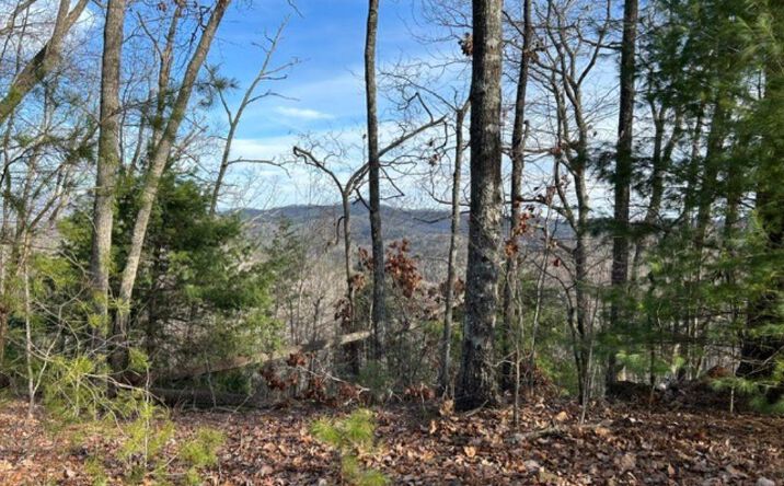 Lot 46 Mission Ridge, Hayesville