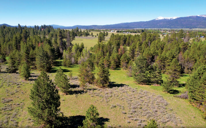 Pictures of Land property located at 320 Acres Big Creek Meadows, Cascade, ID 83611 for sales - image #1