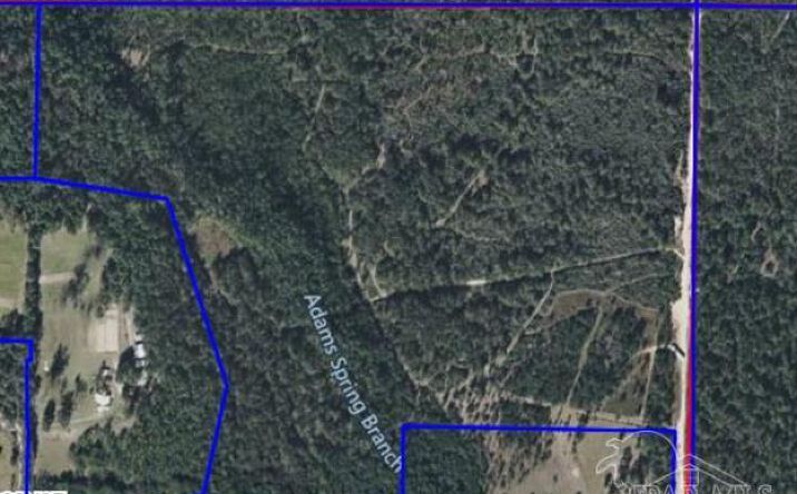 Pictures of Land property located at 0 Walther Rd, Milton, FL 32570 for sales - image #1