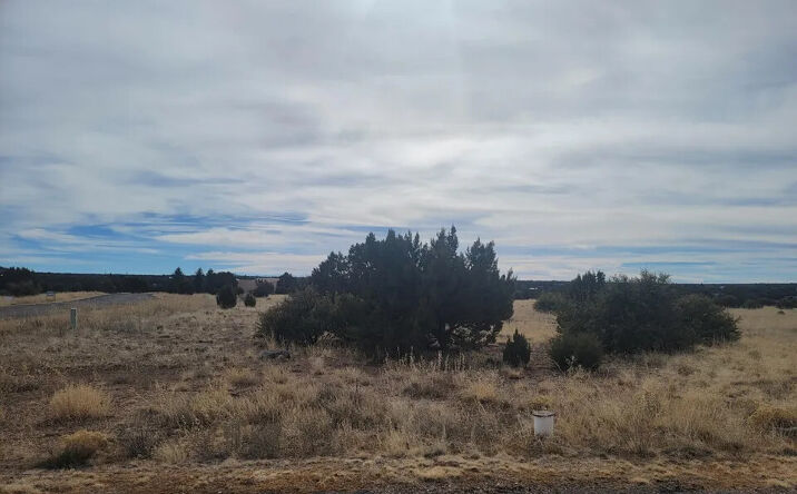 Pictures of Land property located at 1961 Creekside Cir, Show Low, AZ 85901 for sales - image #1